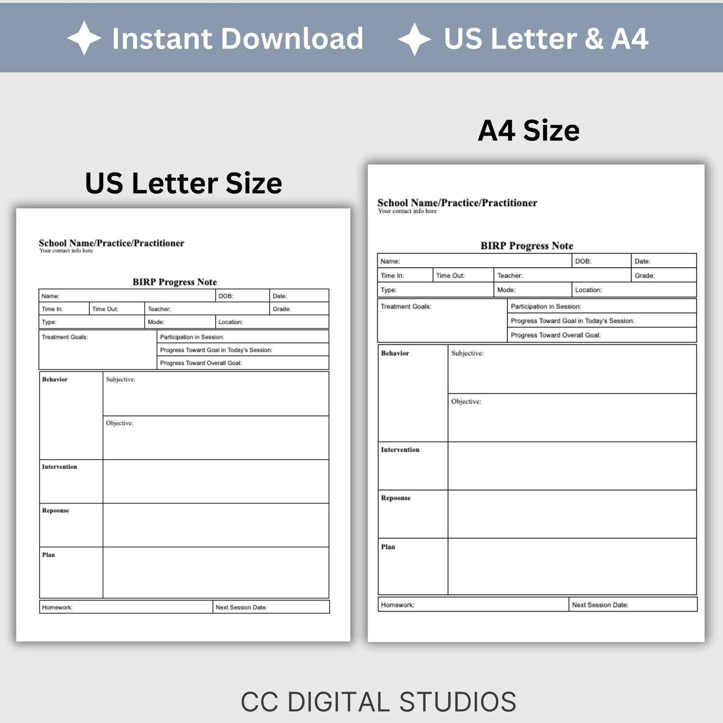 BIRP Progress Note Template designed for school counselors, psychologists, and social workers.BIRP Progress Note for School Counselors, School Psychologist, School Social Work Counseling Tools, Therapy Notes, Therapist Office Forms