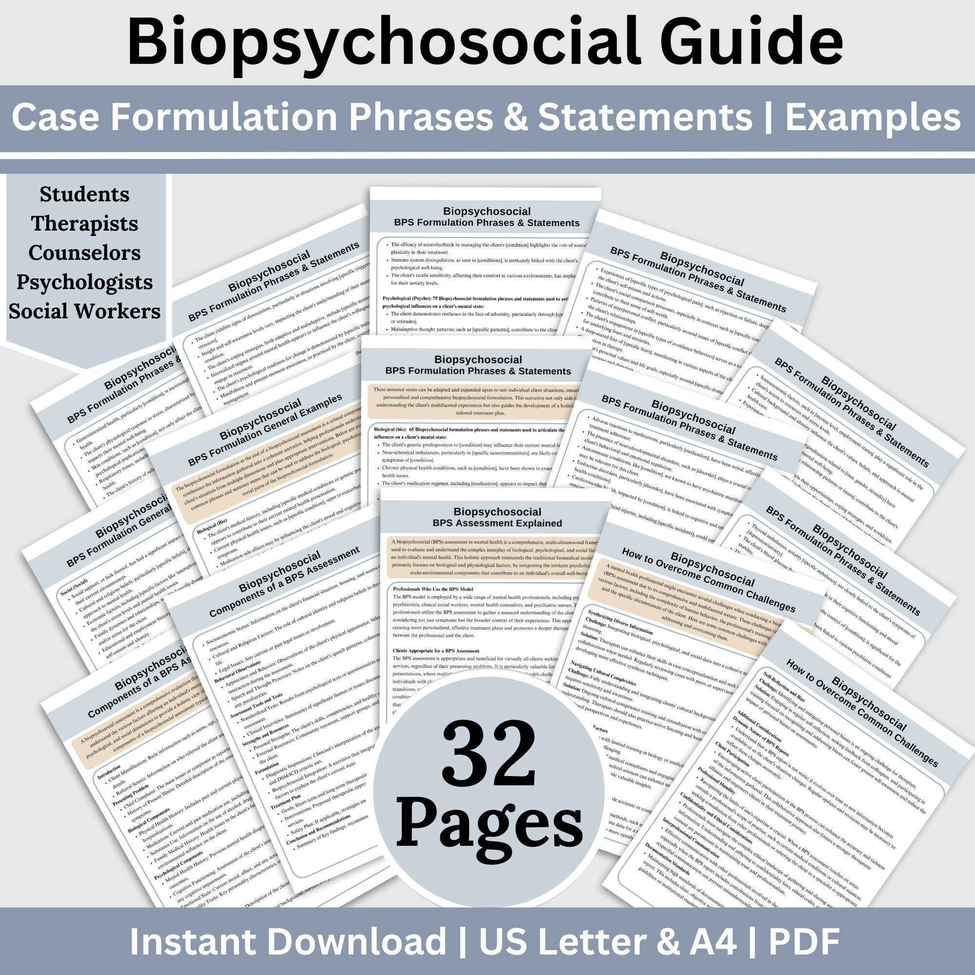 Biopsychosocial Guide: 240 Case Formulation Phrases & Strategies ...