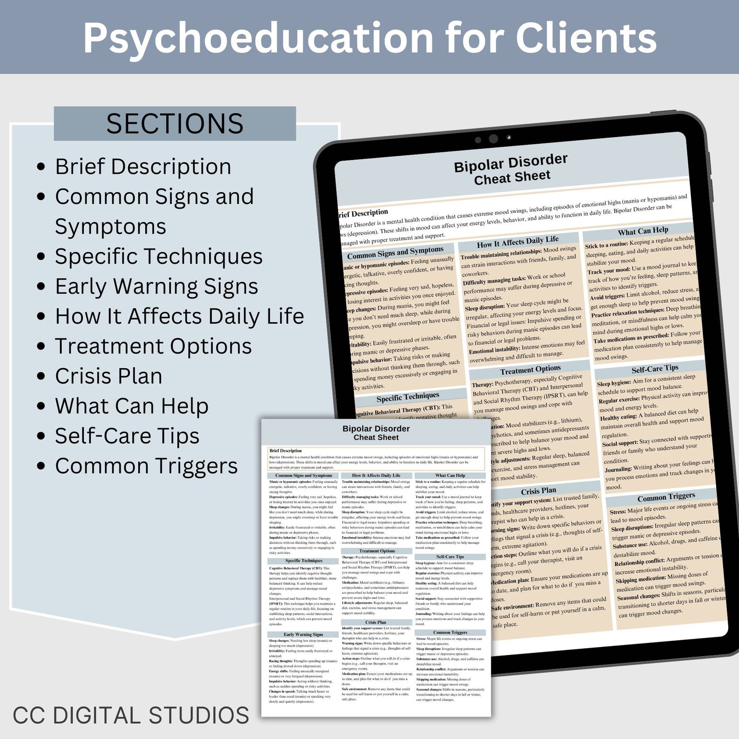 Bipolar Therapy Cheat Sheet: 2 IN 1 Psychoeducation for Client and Cheat Sheet for Counselors