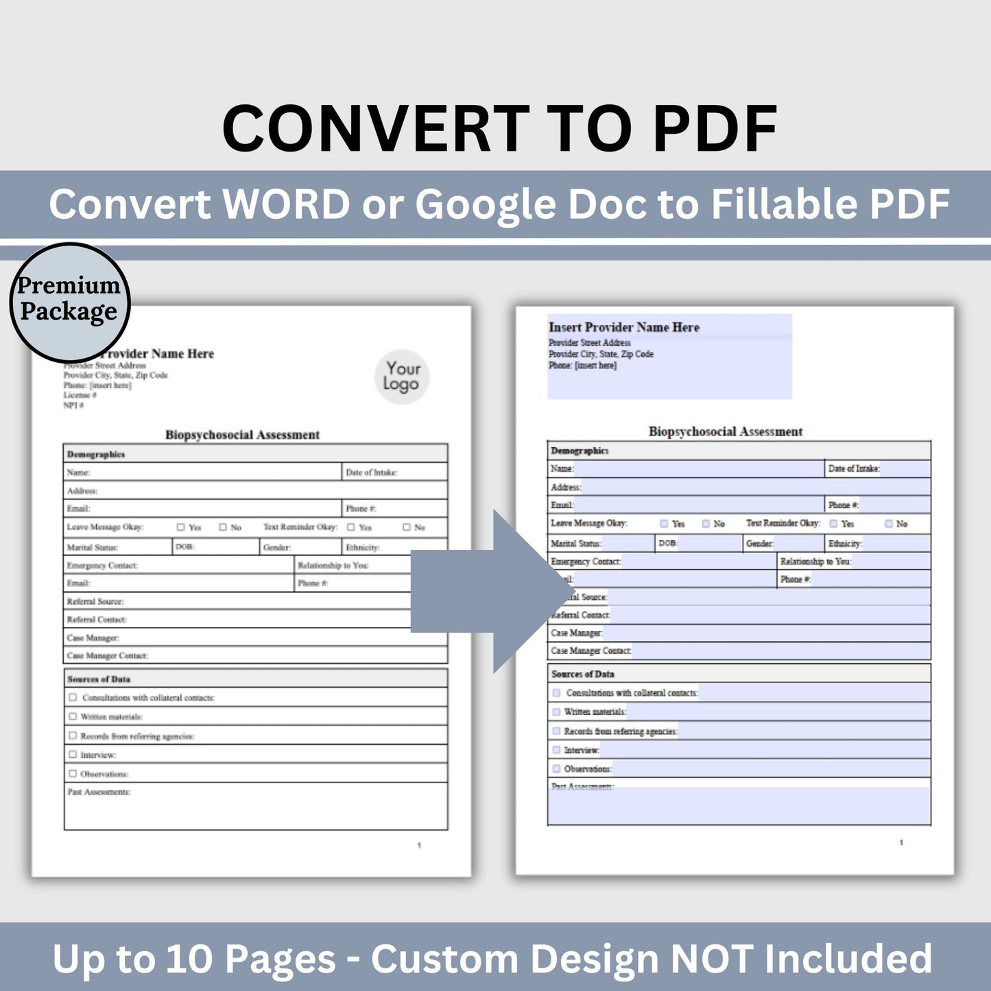 PDF Conversion Premium Package: Transform WORD or Google Docs into Fillable PDFs