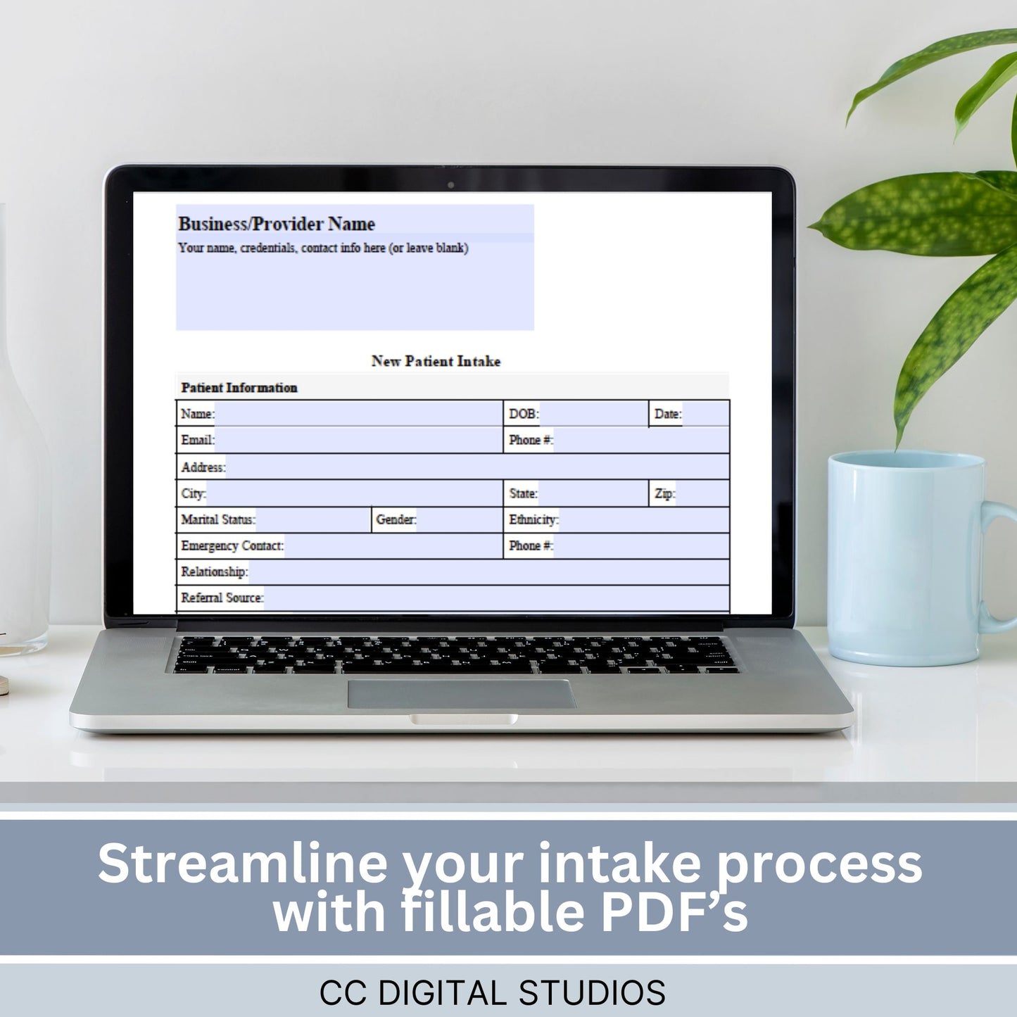 Physical Therapy & Occupational Therapy Intake Form - Fillable PDF