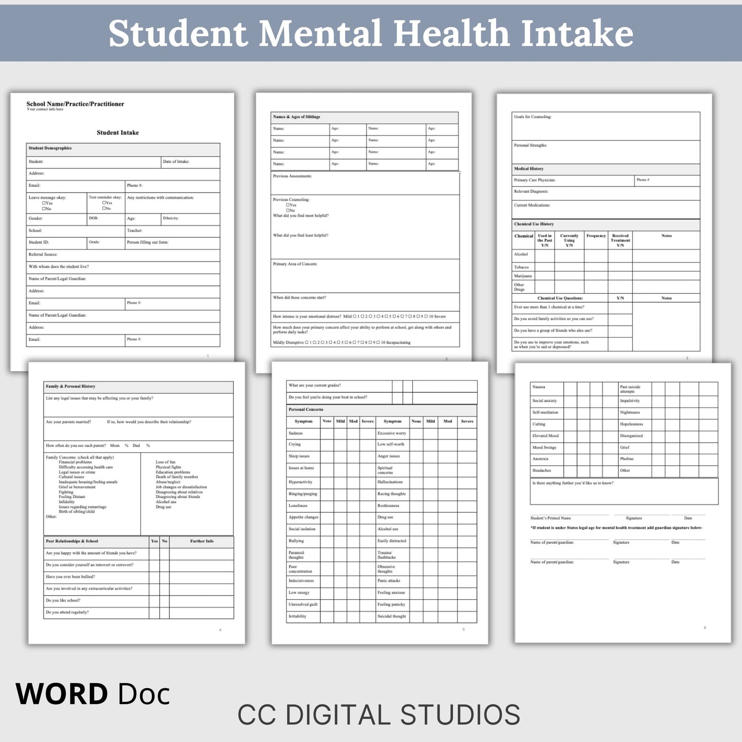 School Counselor Therapy Bundle, School Psychologist Progress Notes, School Social Worker Student Intake Form, Psychology Therapy Notes, social work, therapist notes, therapist planner
