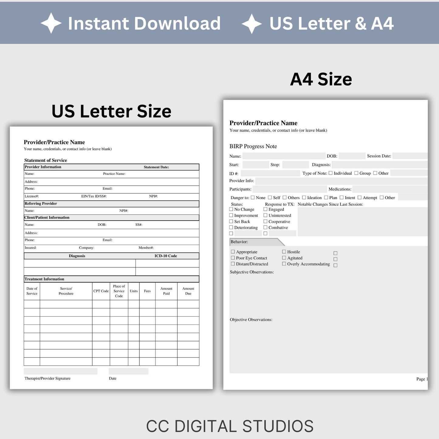 BIRP progress note template designed to assist you in taking thorough and accurate client notes.  Perfect for therapist office, counselors, social workers, and school counselors.