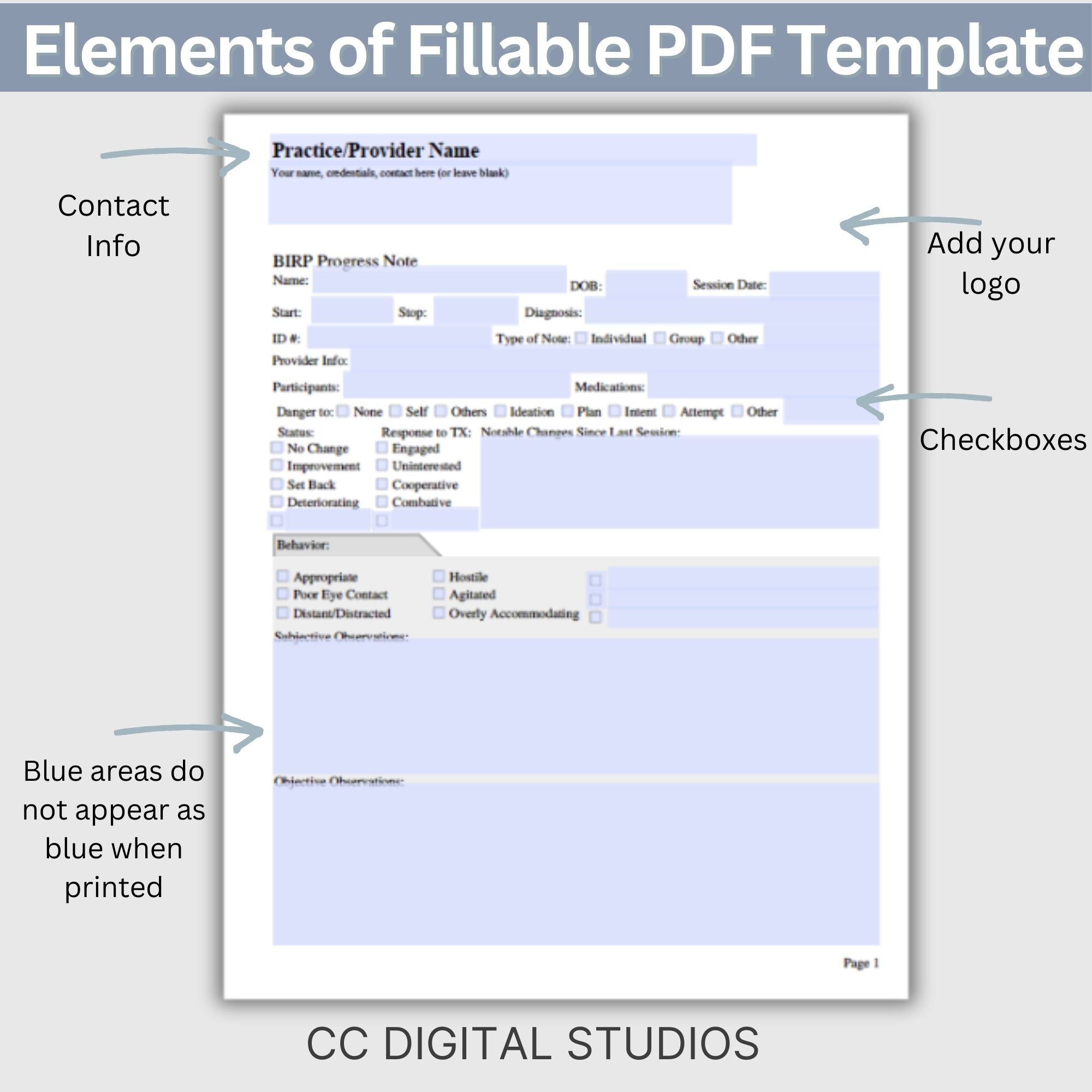 Client Notes Format BIRP Progress Note Template: Thorough & Accurate Client Notes ...
