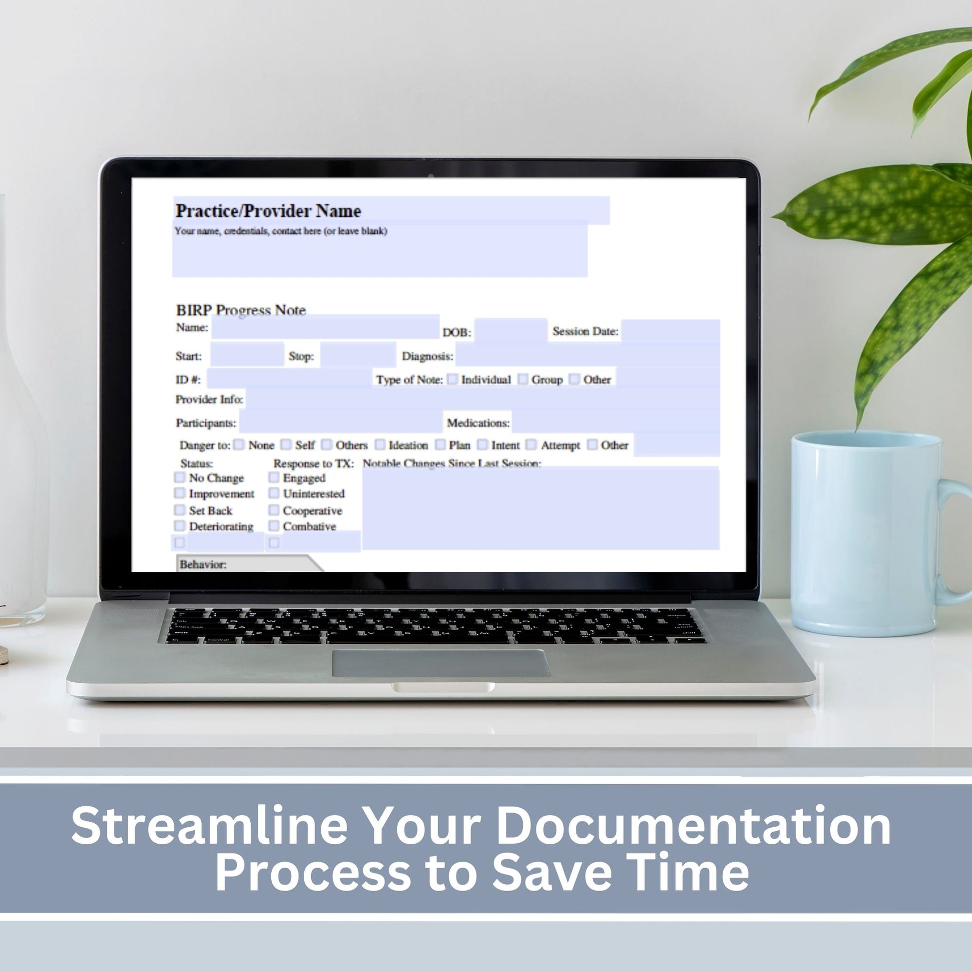 BIRP progress note template designed to assist you in taking thorough and accurate client notes.  Perfect for therapist office, counselors, social workers, and school counselors.