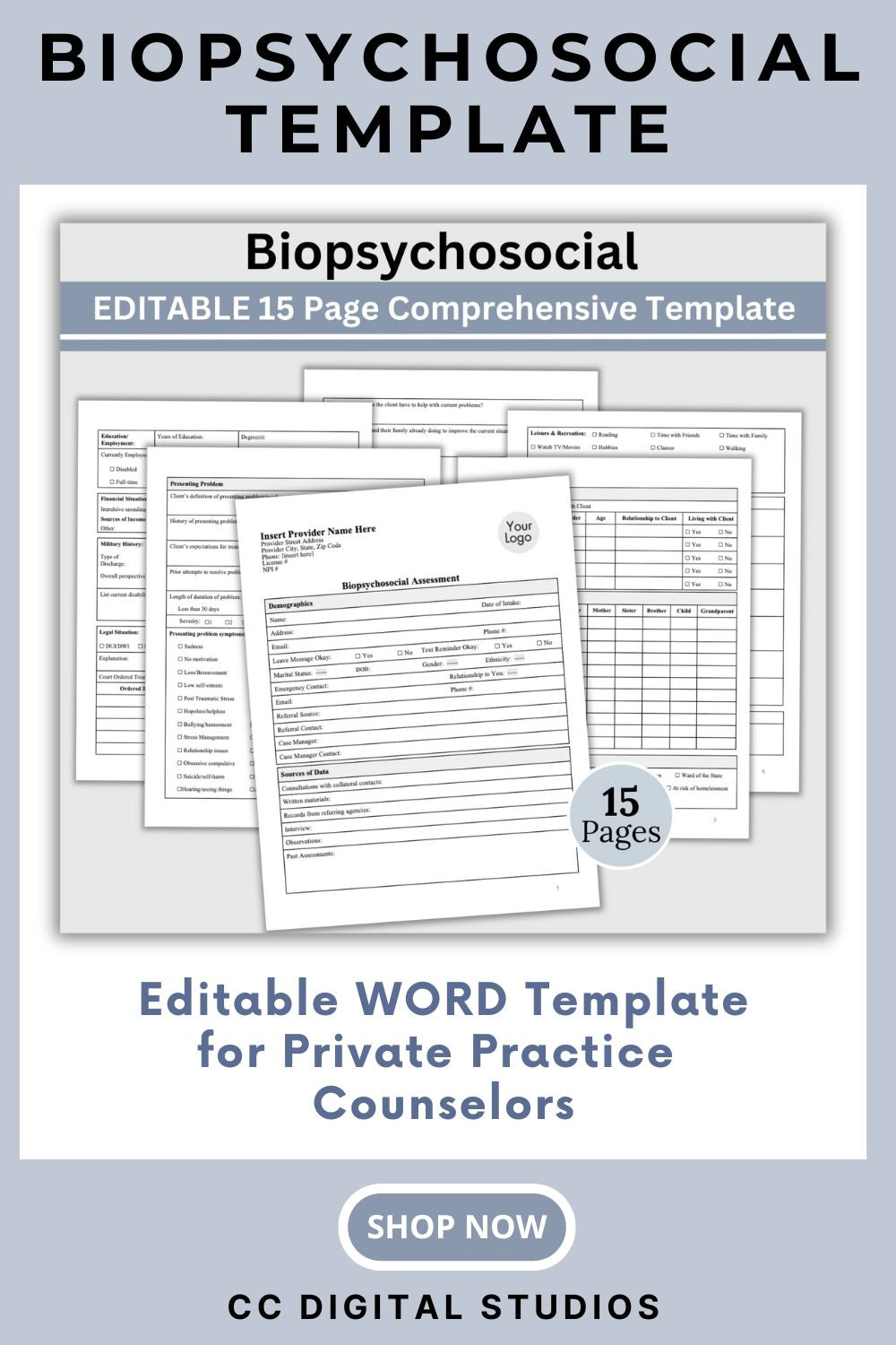 Biopsychosocial Client Intake Form:  Editable WORD Doc for Private Practice