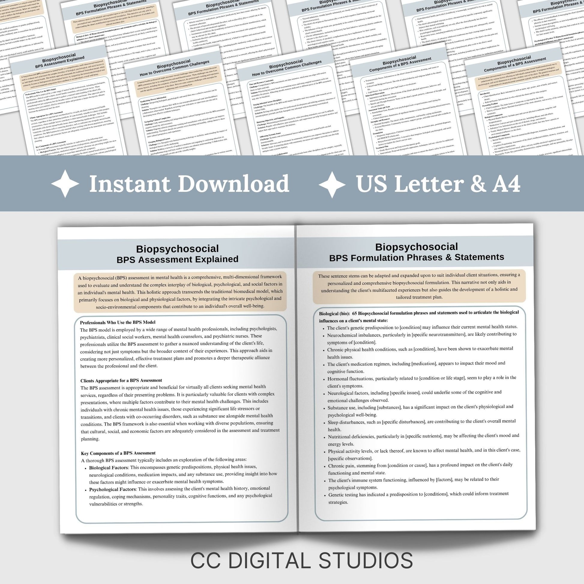 Biopsychosocial Guide, the ultimate therapy tool cheat sheets for professionals. This digital reference sheet, packed with 240 case formulation phrases and statements for psychology, school psychologists, social workers, therapist office