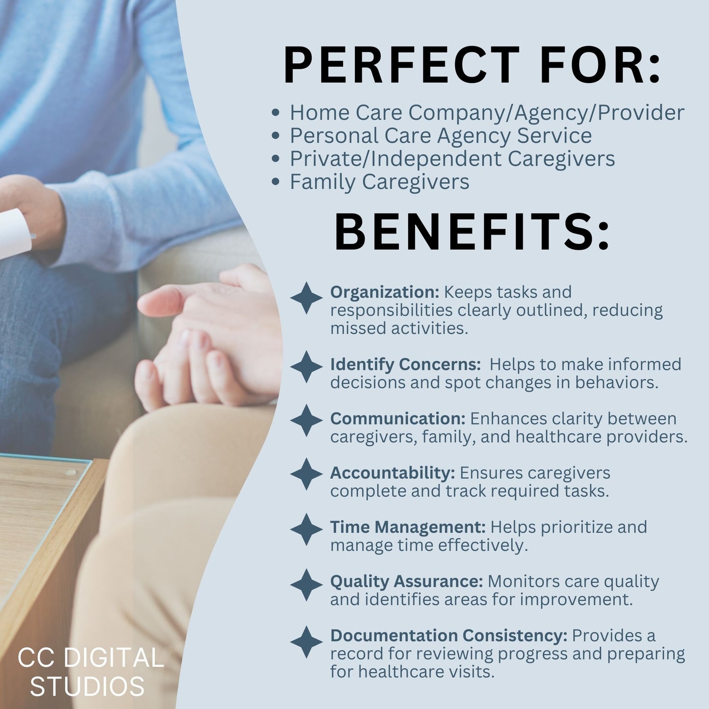 Caregiver Home Care Visit Checklist - Fillable PDF