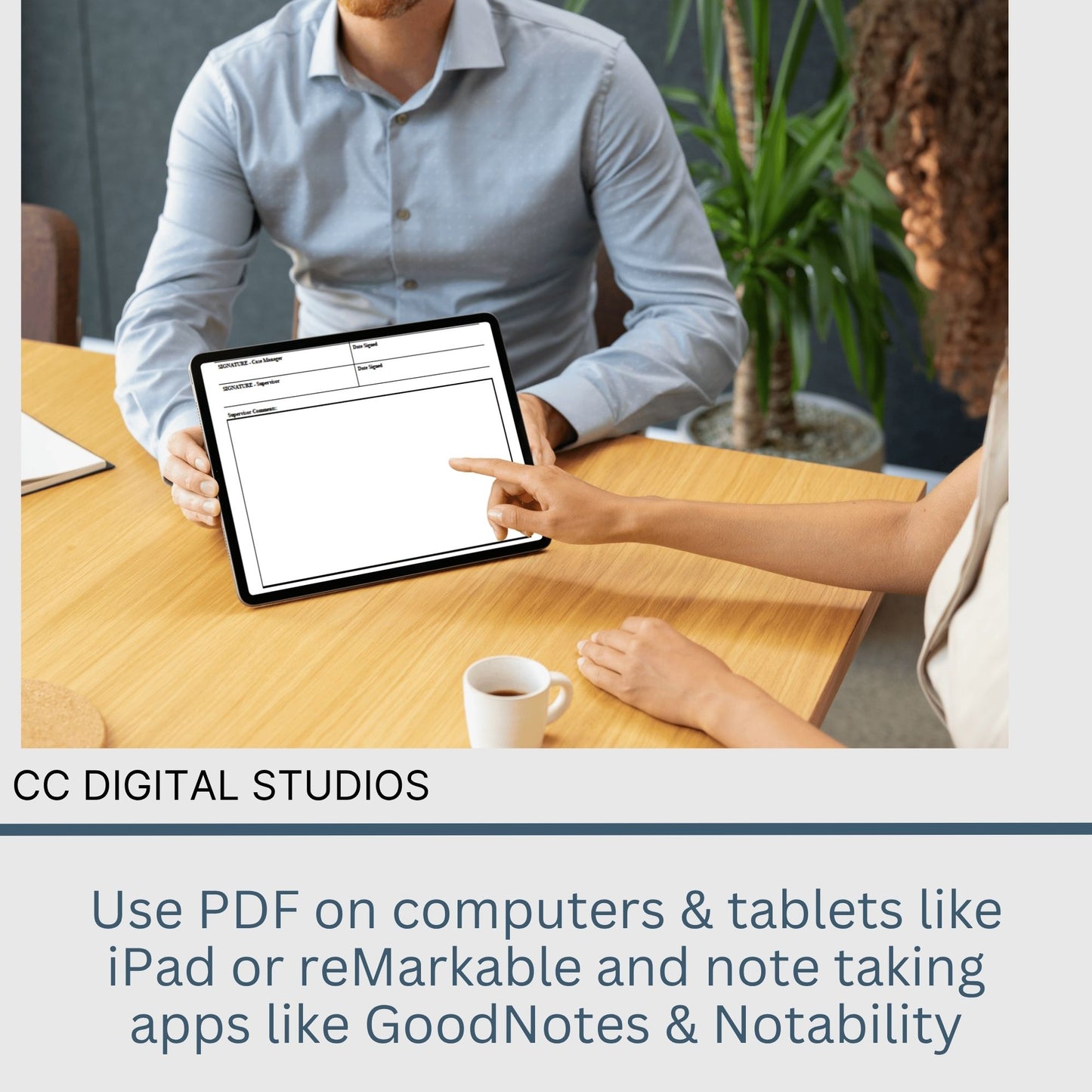 Case Management Service Plan Fillable PDF Template