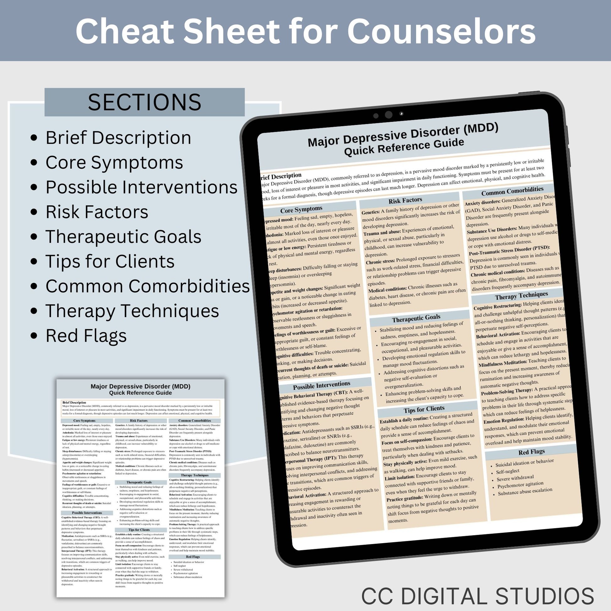 Depression Therapy Cheat Sheet:  2 IN 1 Psychoeducation for Client and Cheat Sheet for Counselors