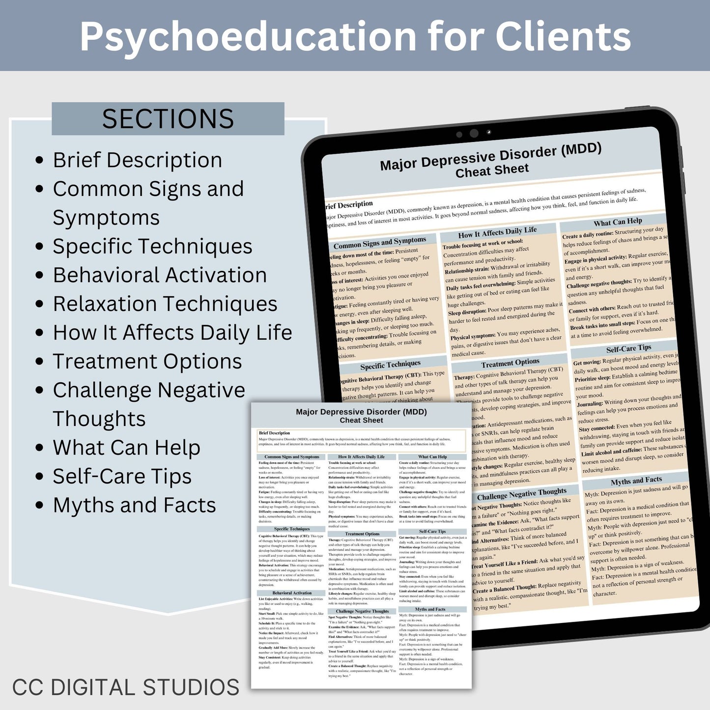 Depression Therapy Cheat Sheet:  2 IN 1 Psychoeducation for Client and Cheat Sheet for Counselors