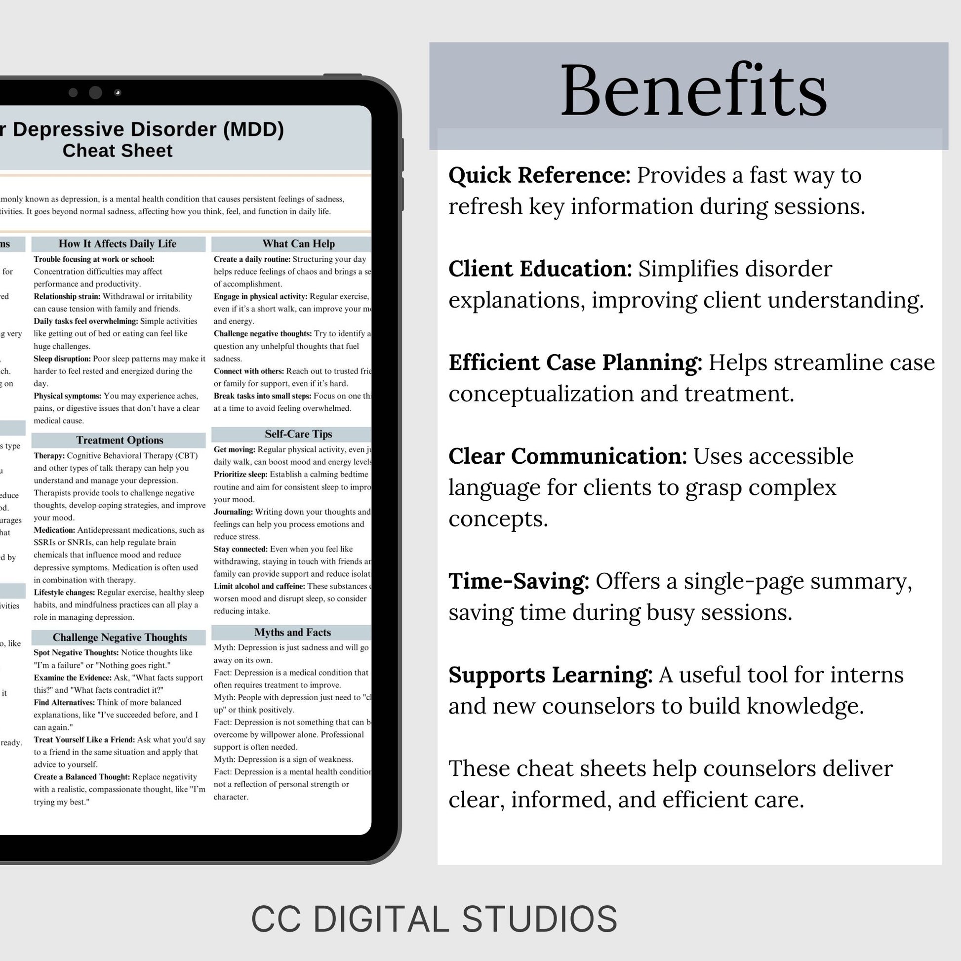 Depression Therapy Cheat Sheet:  2 IN 1 Psychoeducation for Client and Cheat Sheet for Counselors