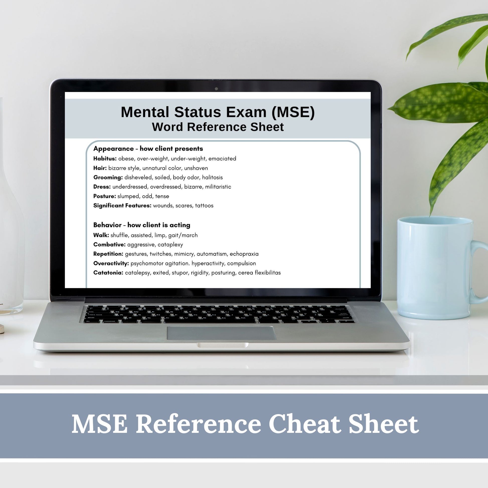 Mental Status Exam (MSE) cheat sheet for therapists, social workers and school counselors. This MSE cheat sheet makes your documentation process easy! Therapy tools for psychology verbiage and definitions.