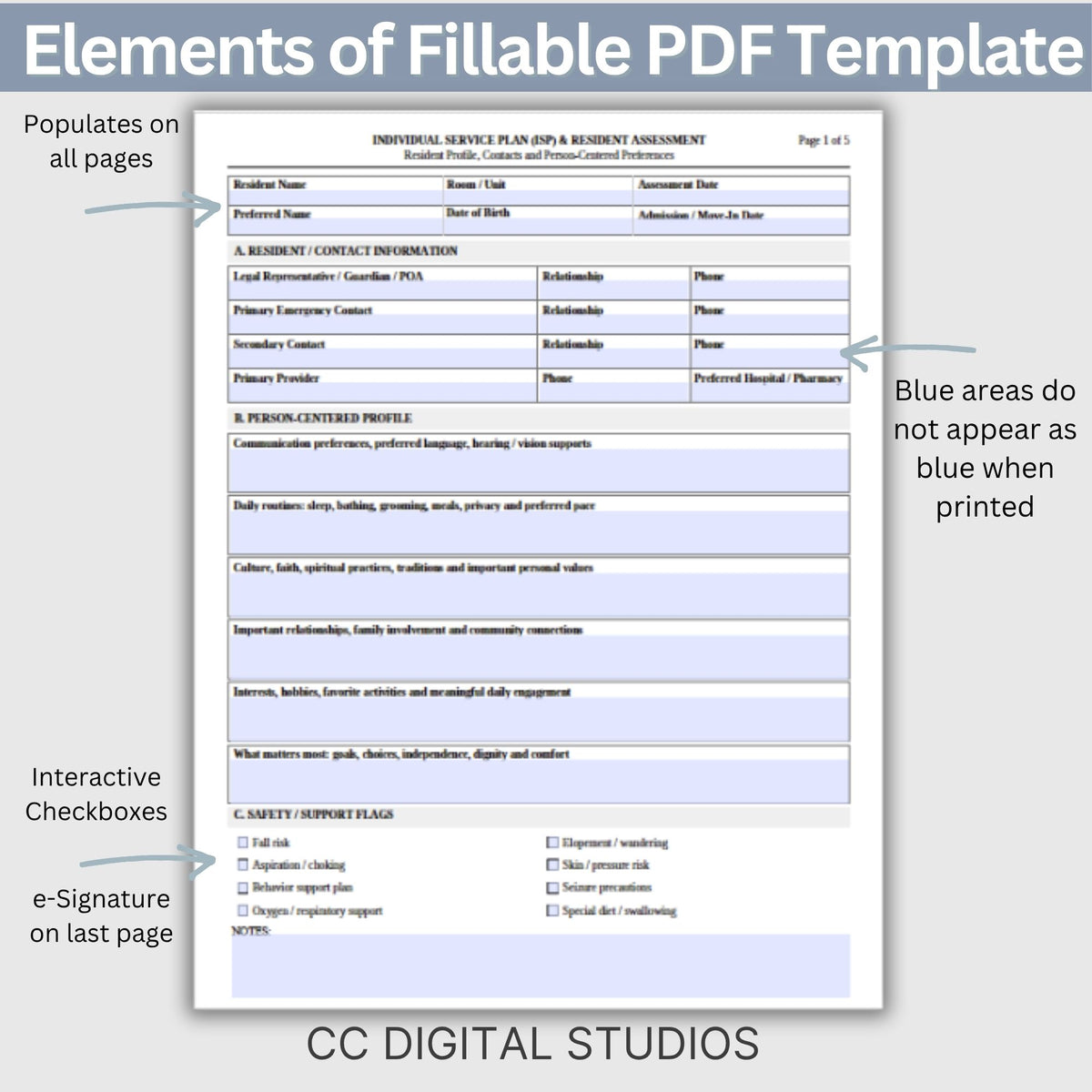 Nursing Home Care Plan Template | Individual Service Plan ISP