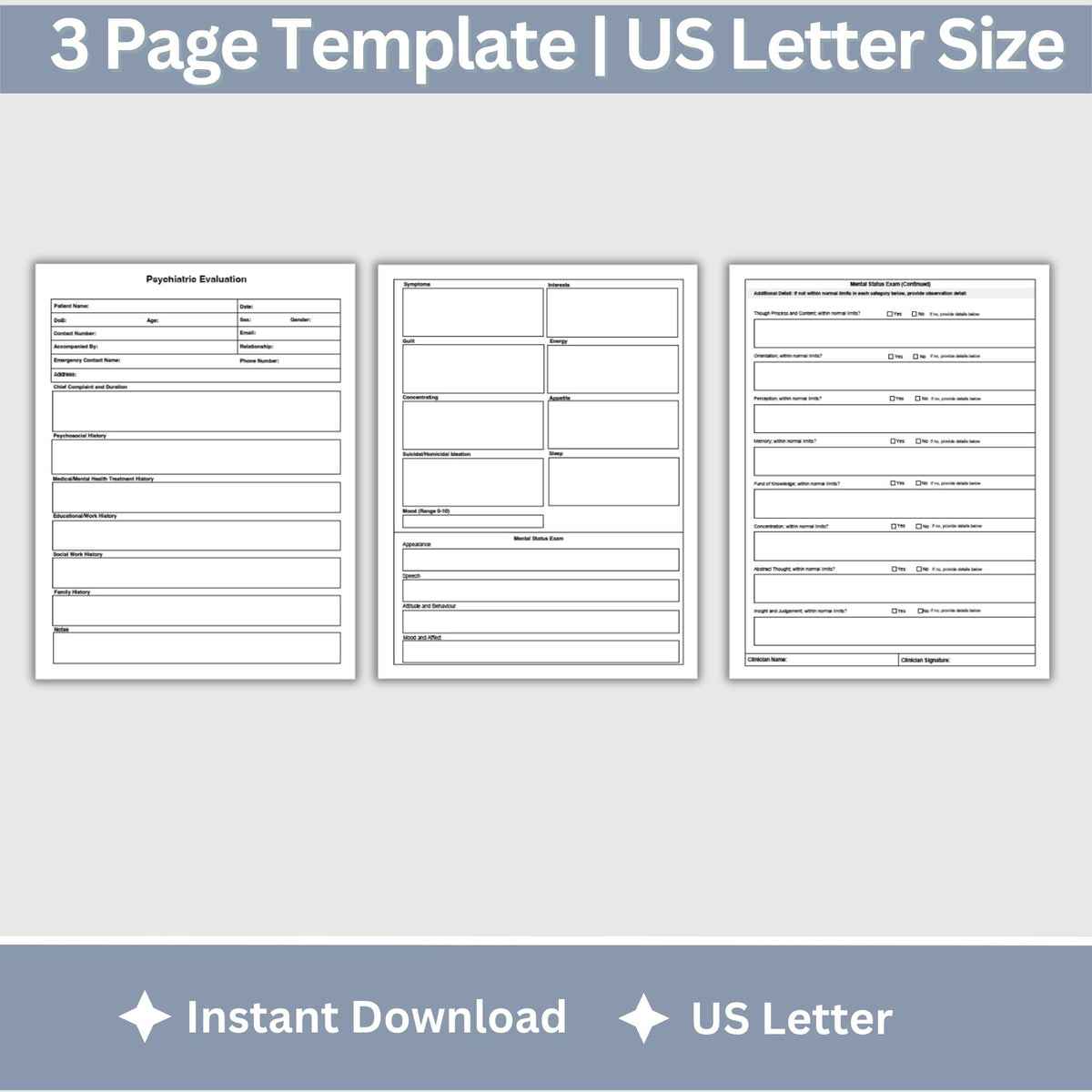 Psychiatric Evaluation Template, Mental Health Assessment & Mental Status Exam Fillable PDF