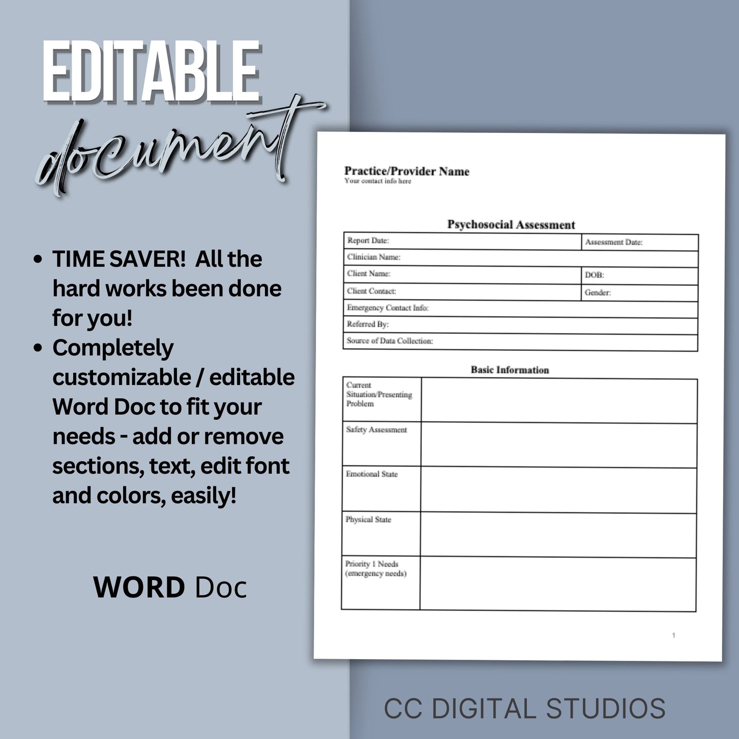 Psychosocial Assessment Template for Social Workers & Case Managers