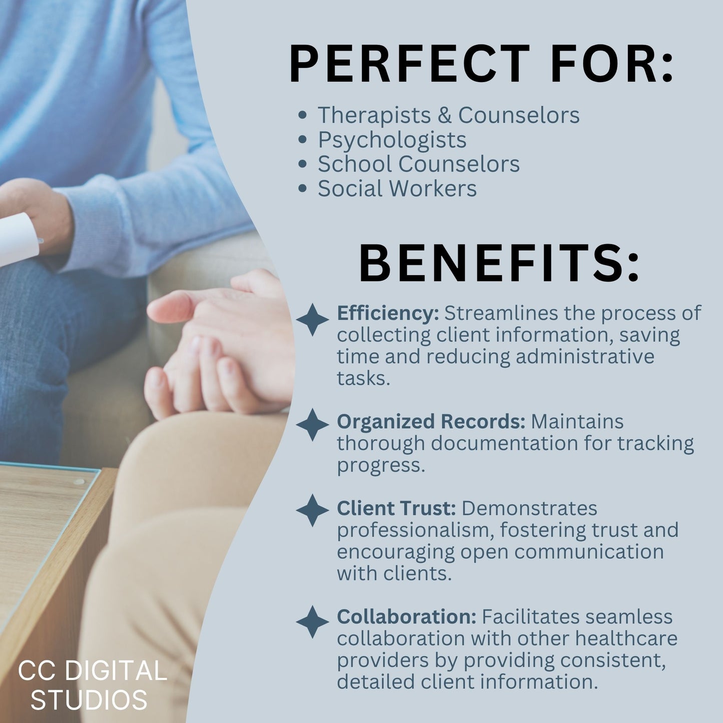 Psychotherapy Client Intake Form for Mental Health Professionals Fillable PDF Template