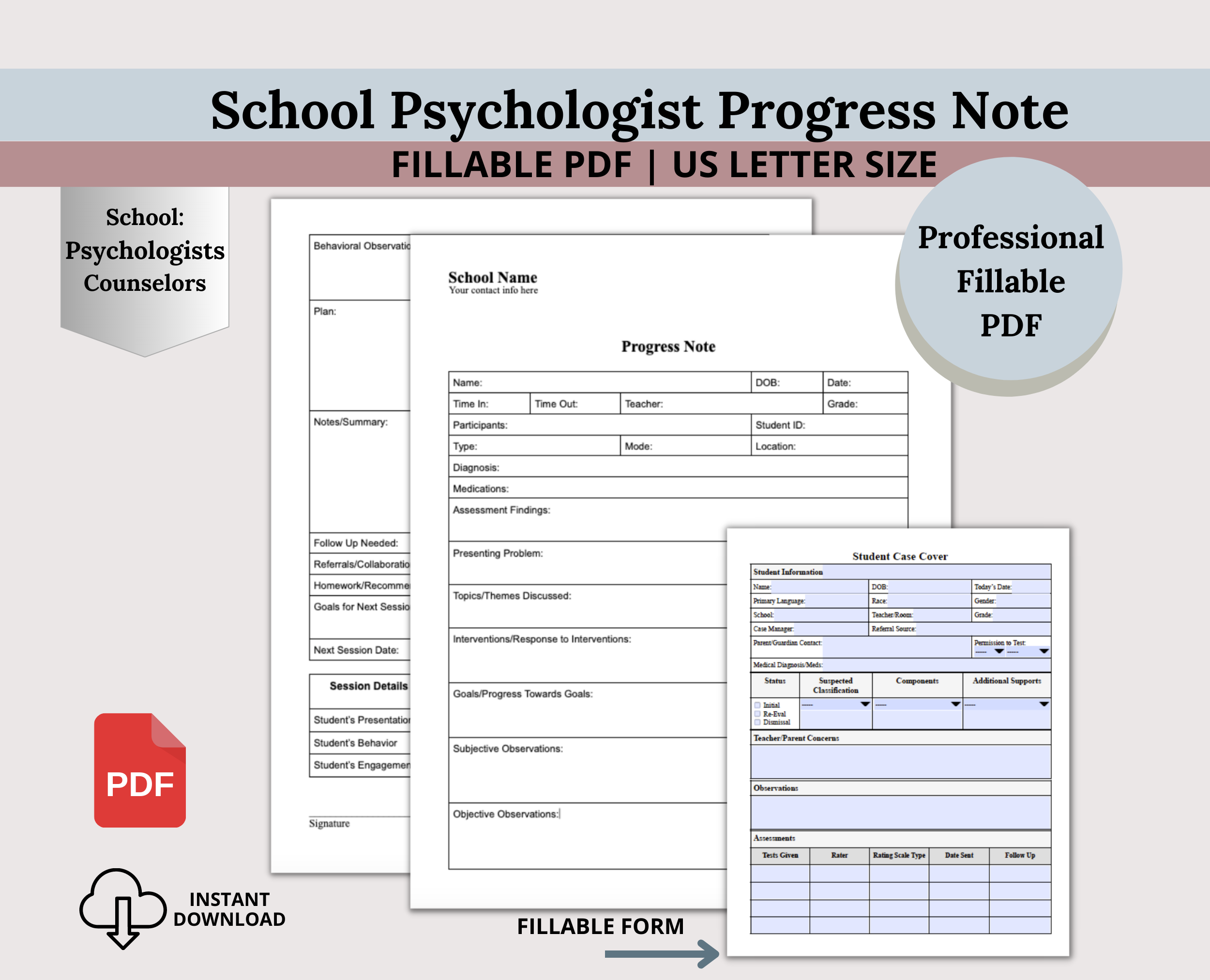School Psychologist Progress Note – CCDigitalStudios