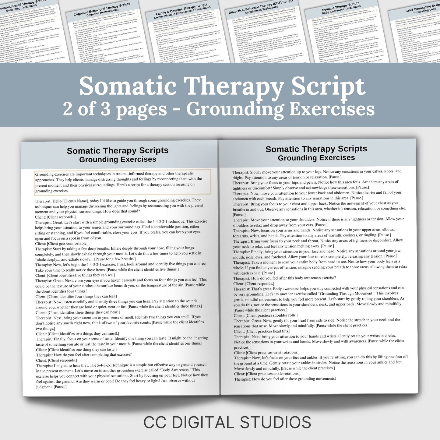 Therapy Scripts: 64 Scripts to Enhance Client Interactions and Session Communication